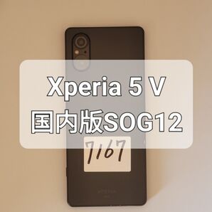 Xperia 5 V 128GB国内版