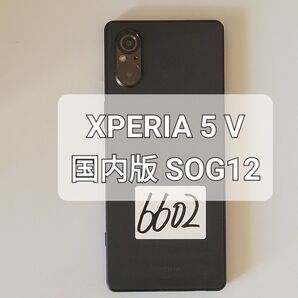 Xperia 5 V 国内版 SOG12