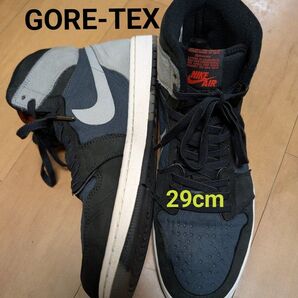 29cm NIKE Air Jordan1 HIGH GORE-TEX "Particle Grey"