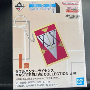 【本日配送手続】一番くじ ハンターハンター I賞 ダブルハンターライセンス HUNTER×HUNTER
