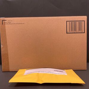 METAL BUILD ゴッドガンダム&ゴッドガンダム弐 (セカンド) 機動武闘伝Gガンダム