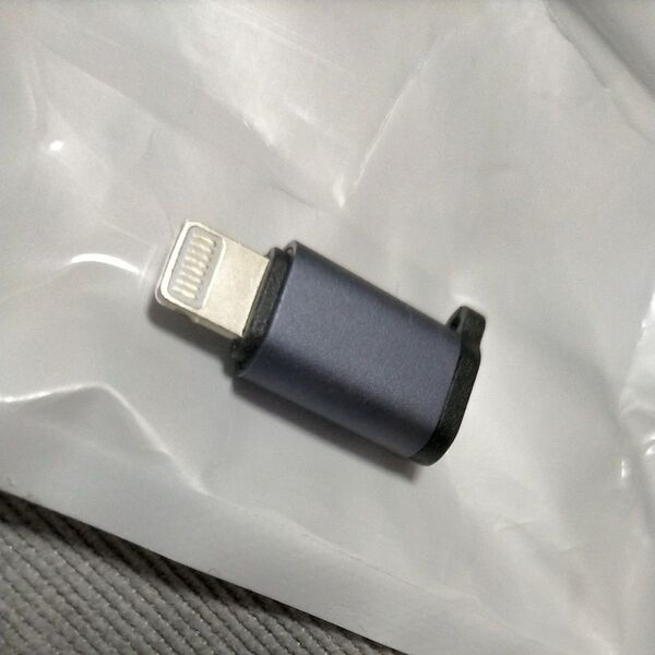 送料無料 Lightning to USB Type-C 変換アダプタ グレー