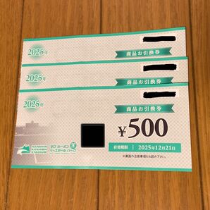 甲子園球場 商品お引換券