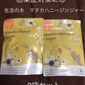 新品未開封 生活の木おいしいハーブティー マヌカハニージンジャー ティーバッグ30袋入 × 2個