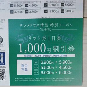 ★サンメドウズ清里スキー場 リフト券1日券 1,000円割引券★5名様有効