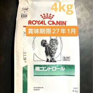 ロイヤルカナン猫用 糖コントロールドライ 4キロ 賞味期限27年1月14日 新品未開封品