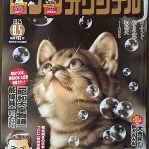 ビッグコミックオリジナル 8月5日号 巻頭カラー『昭和天皇物語』『黄昏流星群』『親GO GO GO』『サテンDEサザン』他