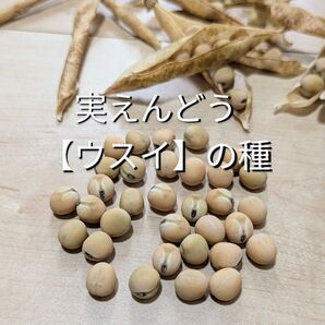 実えんどうの種【ウスイ】 30粒