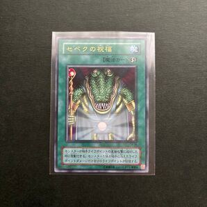 遊戯王 カード セベクの祝福 2期 ウルトラレア