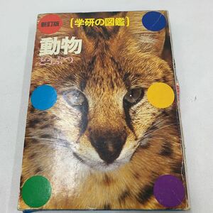 学研の図鑑 動物 どうぶつ 新訂版 1991年 学研 今泉吉典 小原秀雄 女子栄養大学 色々な動物 動物の暮らし 動物の生体 動物種類 z067