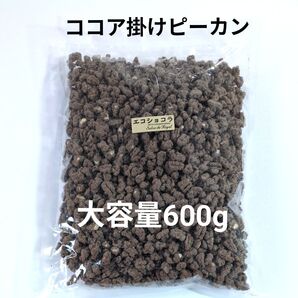 サロンドロワイヤル ココア掛けピーカンスモール 600g