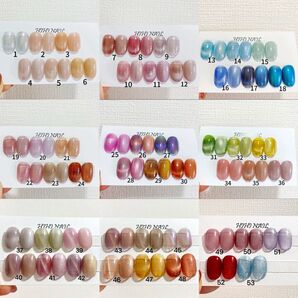 マグネットネイル 53色 ネイルチップ つけ爪 ワンホンネイル 韓国ネイル 春 夏 秋 冬 結婚式 入学式 卒業式 成人式