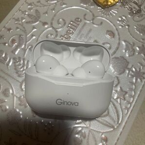 Ginovia ワイヤレスイヤホン 白 写真のものだけ。付属なし。