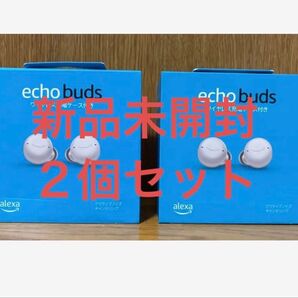 echo buds エコーバッズ 2個セット 新品未開封 イヤホン Bluetooth ワイヤレス