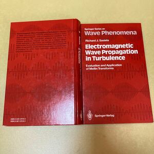 ◎Electromagnetic Wave Propagation in Turbulence: Evaluation and Application of Mellin Transforms