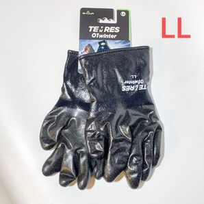 TEMRES 01 WINTER テムレス LL TEMRES ブラック 手袋 テムレス グローブ アウトドア ウィンタースポーツ