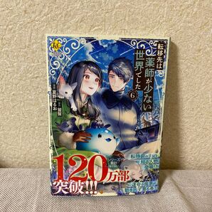 転移先は薬師が少ない世界でした 6 夏野はるお アルファポリス