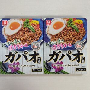 理研ビタミン ガパオの素 2箱