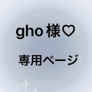gho様専用ページ