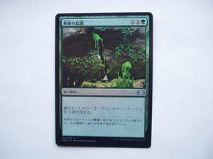 バイン　MTG 軟体の起源/Gelatinous Genesis foil 日本語1枚