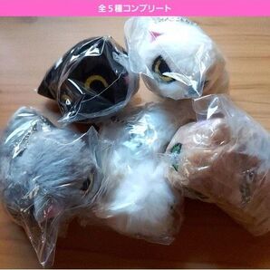 なつかない猫ぬいぐるみガチャ ガチャガチャ フルコンプ