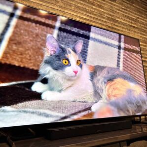 【極美品】SONY BRAVIA XR XRJ-65X90L 液晶テレビ 65インチ