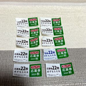 2025年 秋 フジパン キャンペーン応募券 10枚 応募券 おいしいeco生活キャンペーン 秋の本仕込キャンペーン ミッフィー