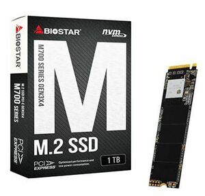 新品未開封 BIOSTAR 内蔵SSD 1TB TLC NAND NVMe/PCIe M.2 2280 M700-1TB