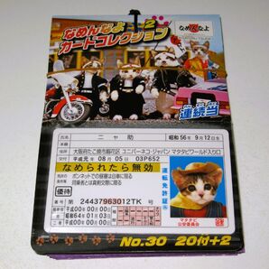 新品【なめ猫 カード 22枚】K なめんなよ なめねこ 猫 ねこ なめんなよ猫 かわいい 可愛い 癒やし 癒し 癒し系 猫写真