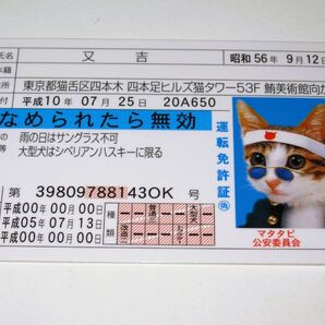 【なめ猫 免許証風 ブロマイド 又吉】なめんなよ猫 なめねこ ブルー免許 癒し かわいい 可愛い 猫 ネコ キャラクター