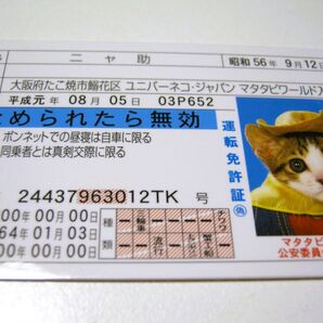 なめ猫 免許証風 ブロマイド ニャ助】なめんなよ 猫 なめねこ 癒し 癒やし 猫 かわいい 可愛い ネコ コスプレ トレカ 癒し系