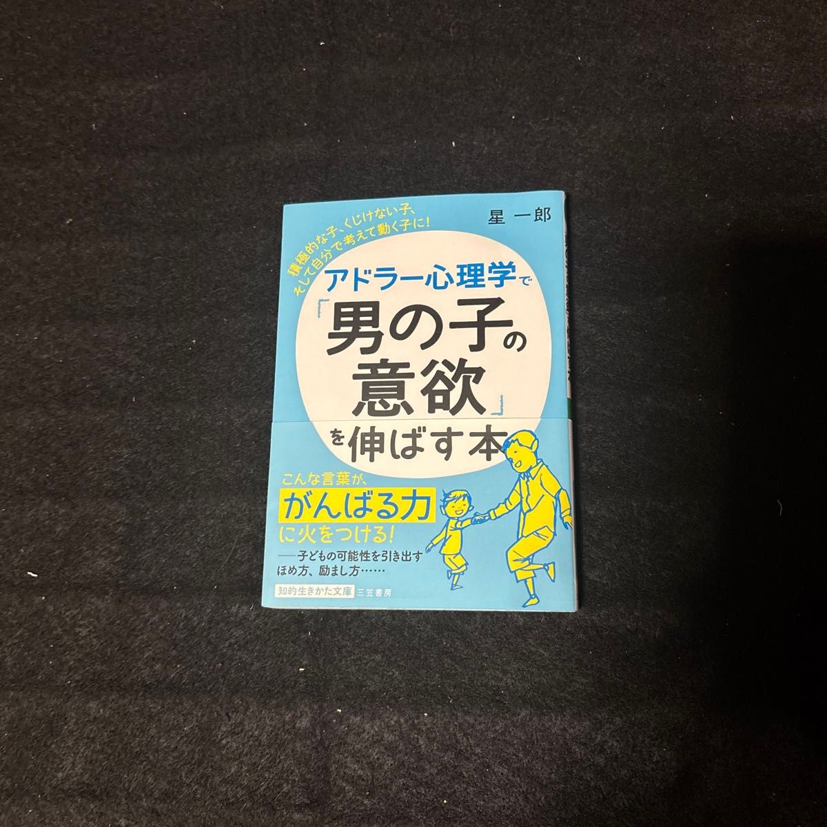 アドラー心理学で「男の子の意欲」を伸ばす本 （知的生きかた文庫　ほ９－４） 星一郎／著