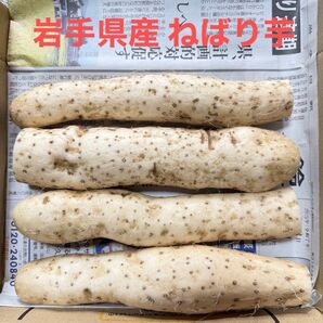 岩手県産 ねばり芋