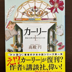 カーリー 黄金の尖塔の国とあひると小公女 高殿円 講談社文庫