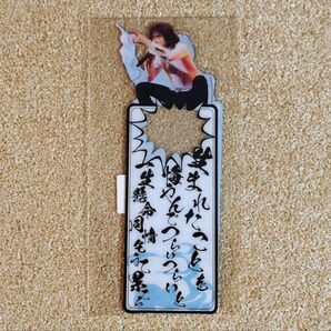 エレファントカシマシ エレカシ 俺たちの野音 しおりセット