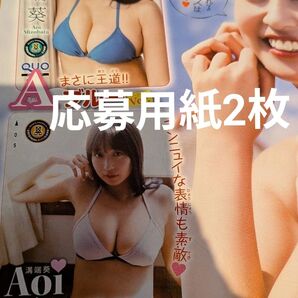 溝端葵 全員サービス 応募用紙 2枚 週刊少年チャンピオン 50号