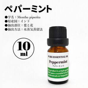 ペパーミント 精油 10ml|天然100%アロマオイル エッセンシャルオイル