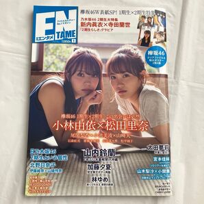 ENTAME(エンタメ) 2020年1月号 欅坂46 小林由依、松田里奈【付録付き】両面クリアファイル、B2両面ポスター2枚