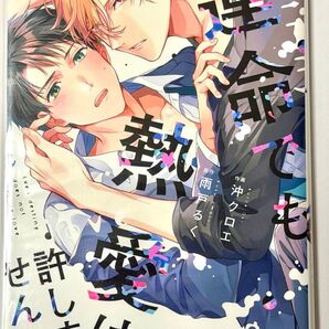 運命でも熱愛は許しません! 沖クロエ 雨戸るく BLコミック
