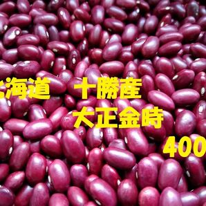 (400g) 令和7年産 北海道 十勝産 大正金時