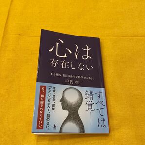 心は存在しない 不合理な「脳」の正体を科学でひもとく (SB新書 674) 毛内拡/著