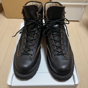 ダナー ライト3 III 33222 10EE Danner