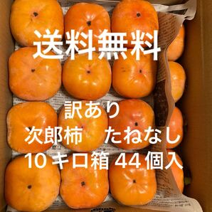 愛知県豊橋市特産 種無し次郎柿 10キロ箱 甘柿