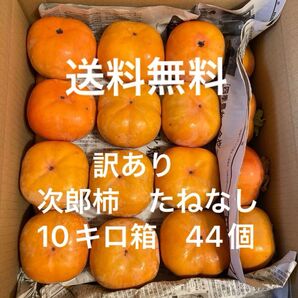 愛知県豊橋市特産 種無し次郎柿 10キロ箱 甘柿