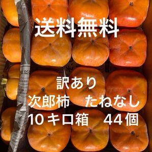 愛知県豊橋市特産 種無し次郎柿 10キロ箱 甘柿