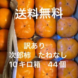 愛知県豊橋市特産 種無し次郎柿 10キロ箱 甘柿