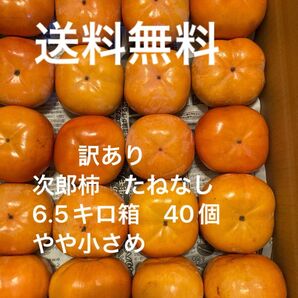 愛知県豊橋市特産 種無し次郎柿 訳あり 6.5キロ箱 甘柿