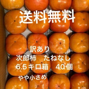 愛知県豊橋市特産 たねなし次郎柿 訳あり 6.5キロ箱 甘柿
