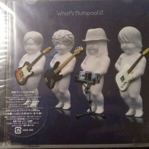 flumpool CD