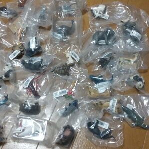 MINIATURE PLANET ミニチュアプラネット セット